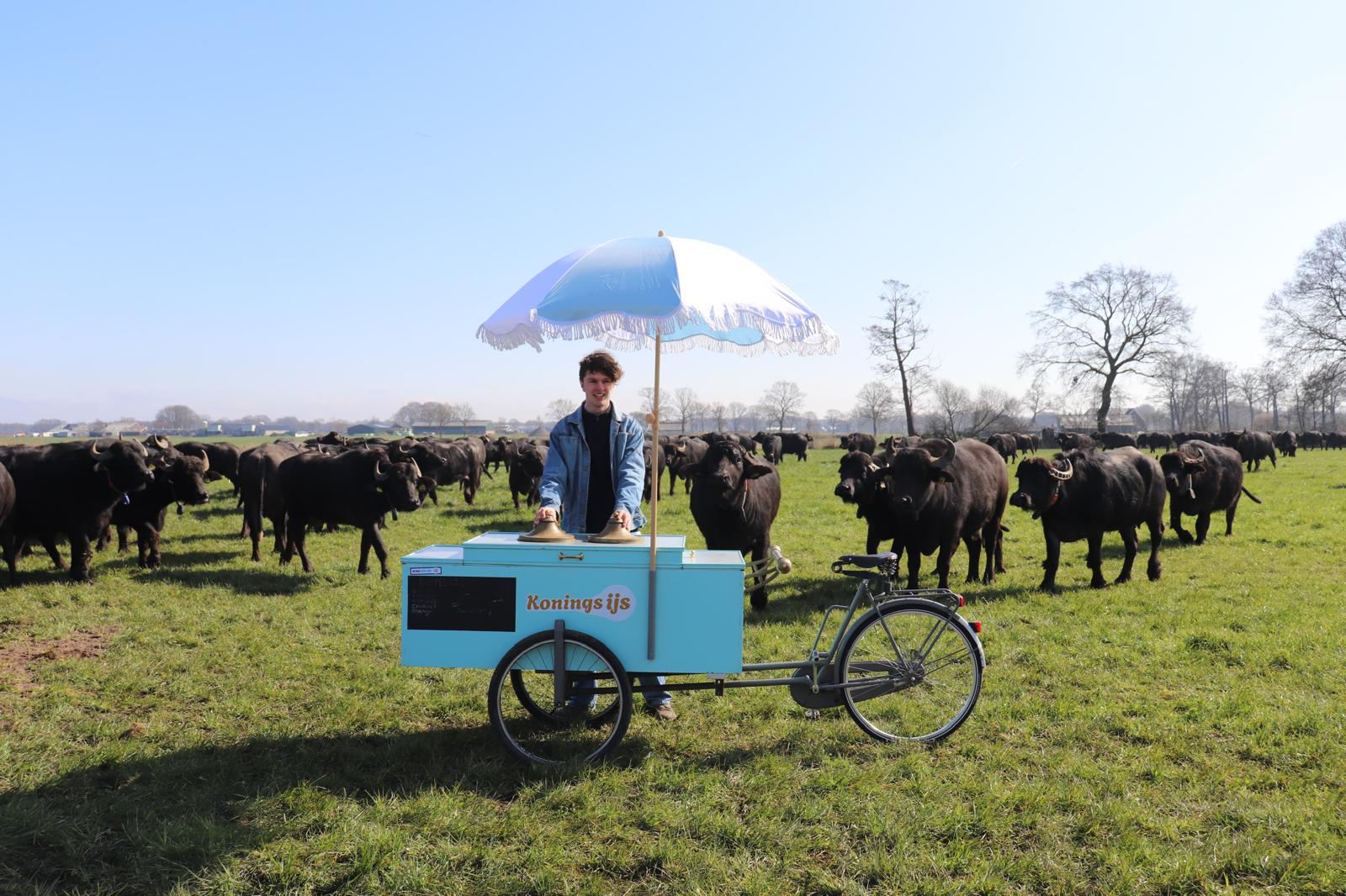 Koningsijs ambachtelijk ijs